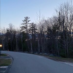 Meet your Posher, Kaileigh